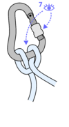 tightened clove hitch on a tightened carabiner with an eye icon