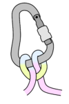 clove hitch on a locked HMS carabiner with differently colored rope sections