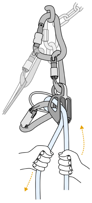 Tuber belaying second feed.png