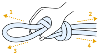 hand on a figure eight knot, arrows pointing in direction the rope leaves the knot