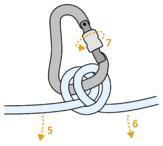 loose clove hitch on unlocked hms carabiner